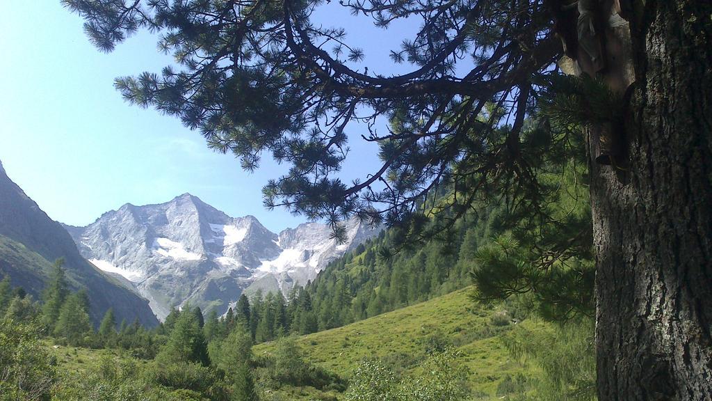 Gaestehaus Vier Jahreszeiten Mayrhofen Buitenkant foto